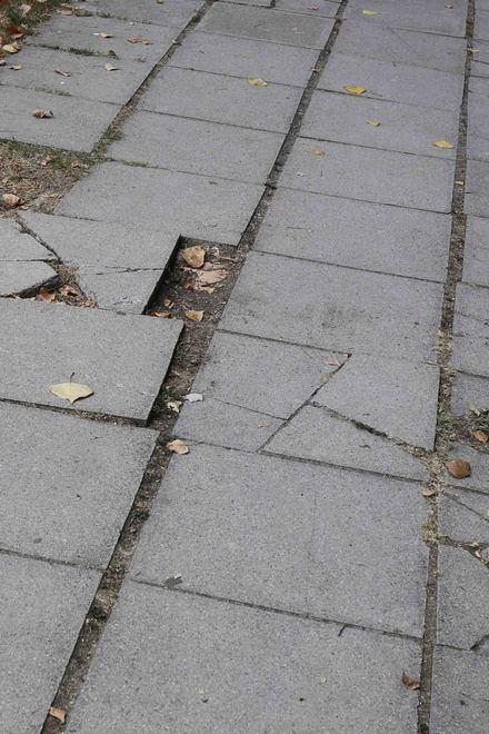 Il Parco delle Caprette chiede cura e sicurezza 