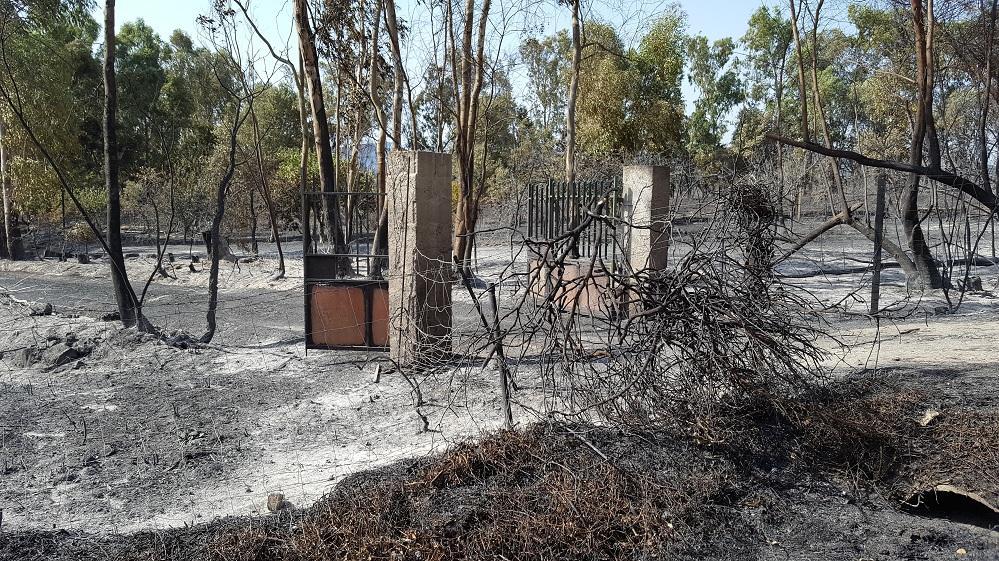 Incendio di Arbus, allarme cessato: i detenuti rientrano nella Colonia penale