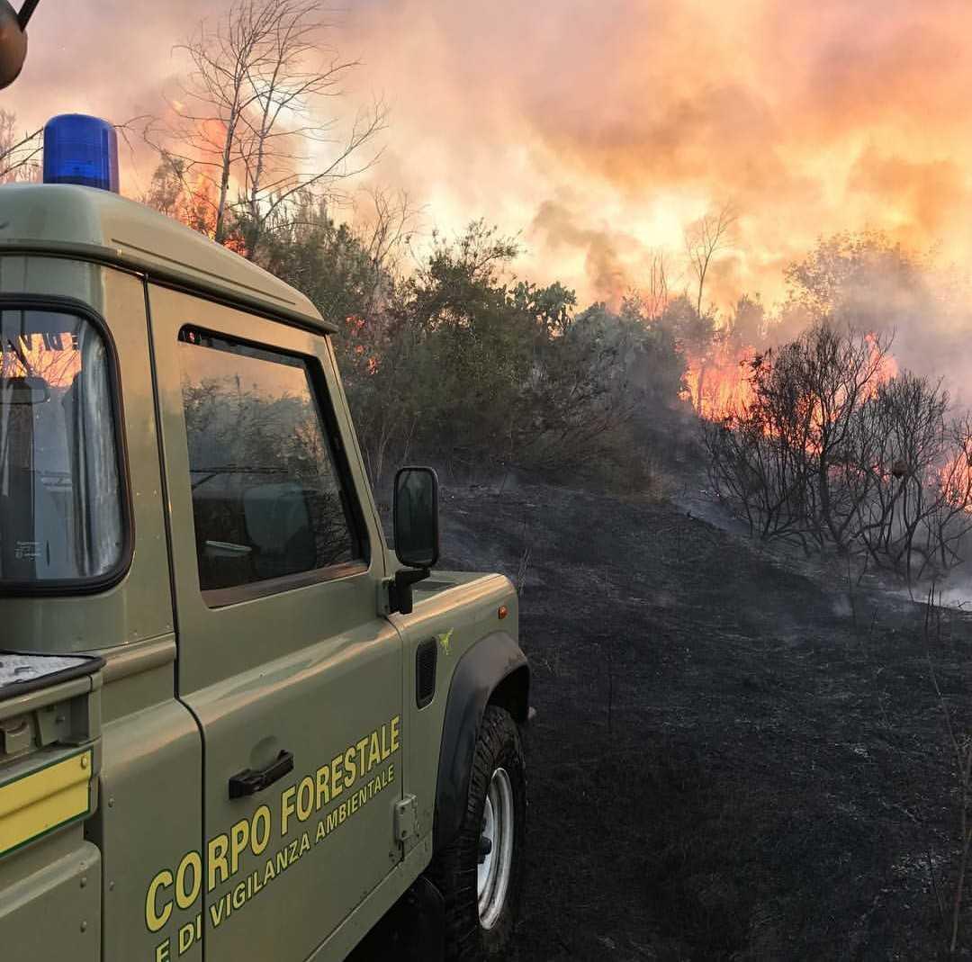 Un mezzo della Forestale in azione