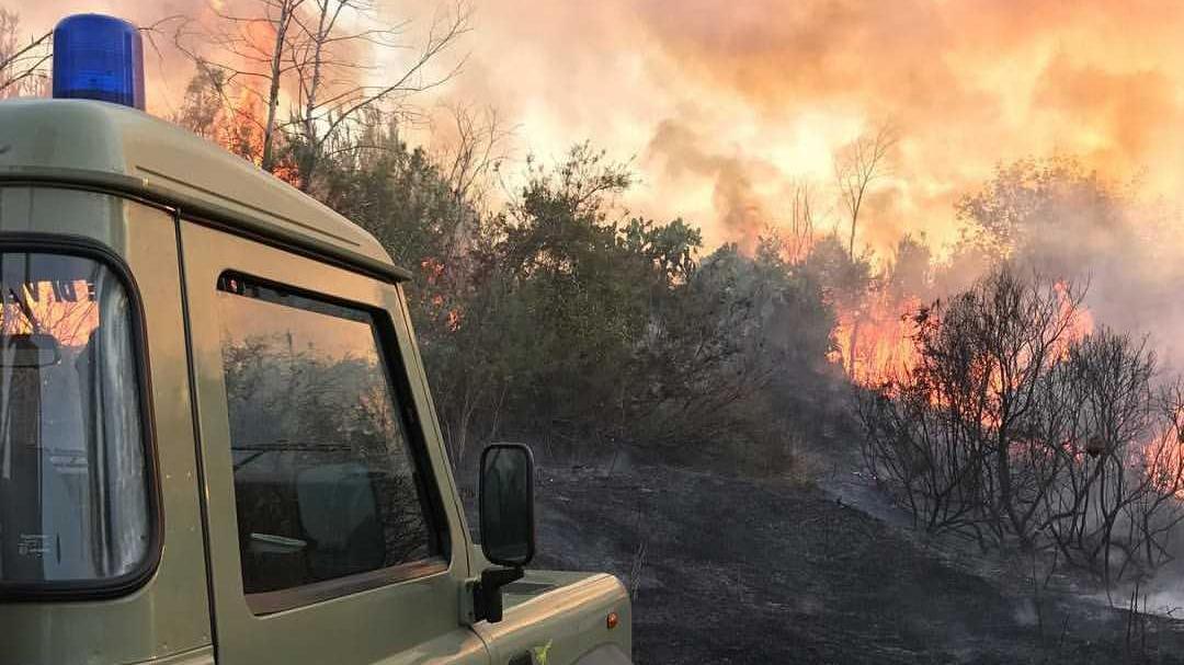 Un mezzo della Forestale in azione