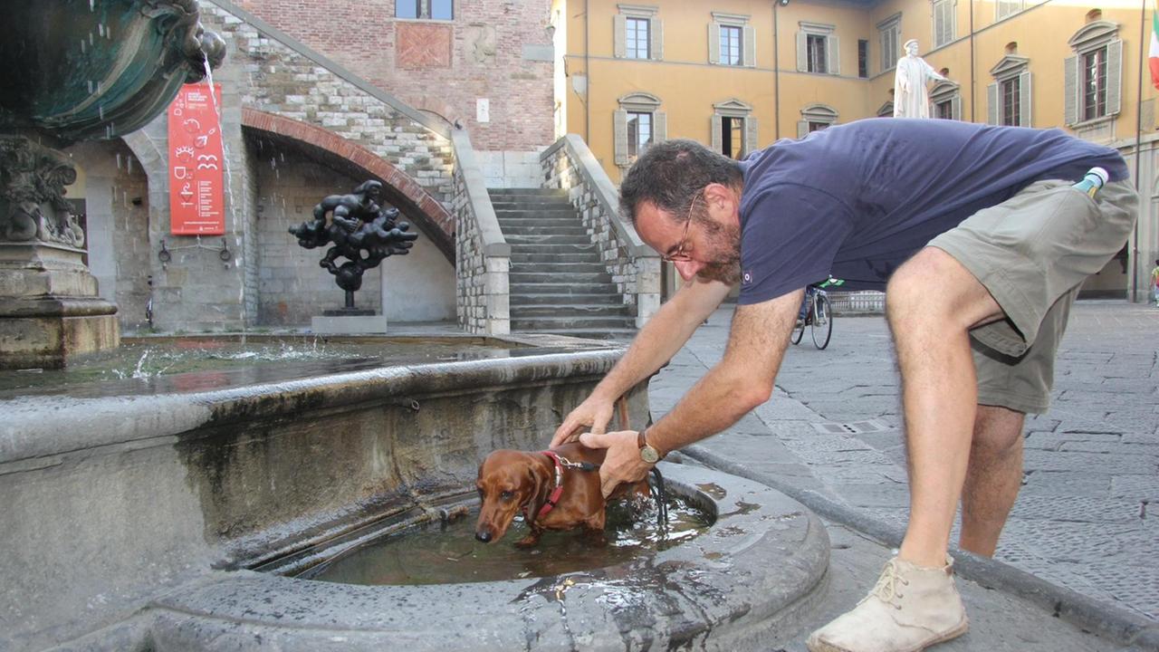 Un bassotto viene rinfrescato nella fontana del Bacchino