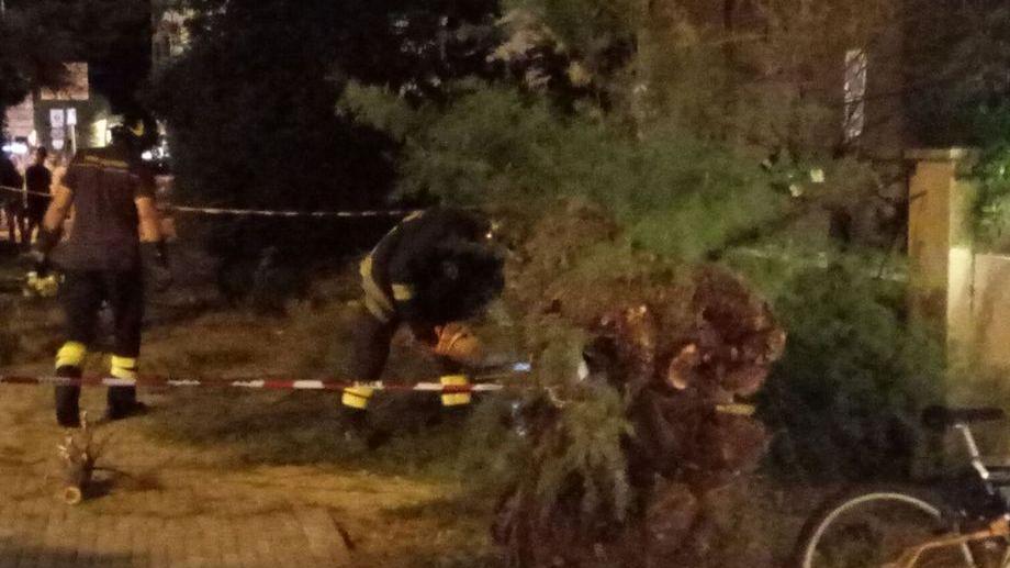 Crolla un altro albero due episodi in 8 giorni