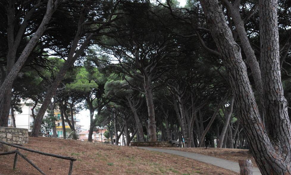 Botte ai carabinieri, convalidato l’arresto