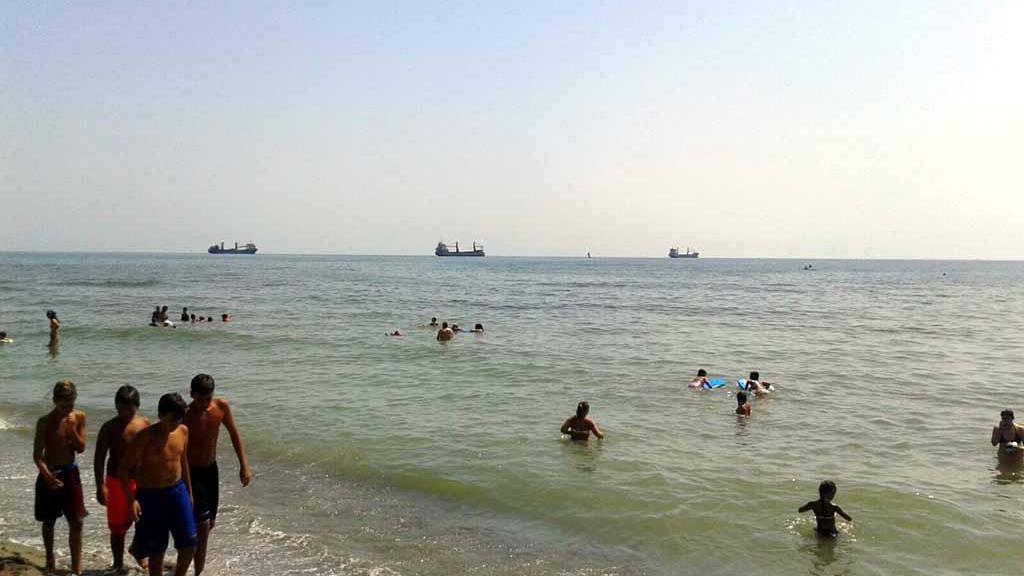 Il mare verdognolo