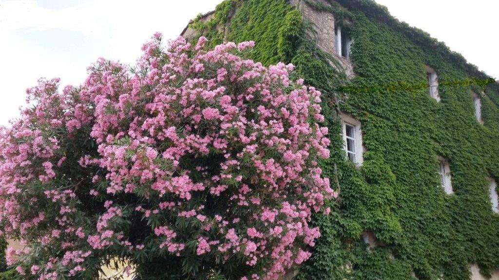 La casa seicentesca ristrutturata da Ferruzzi