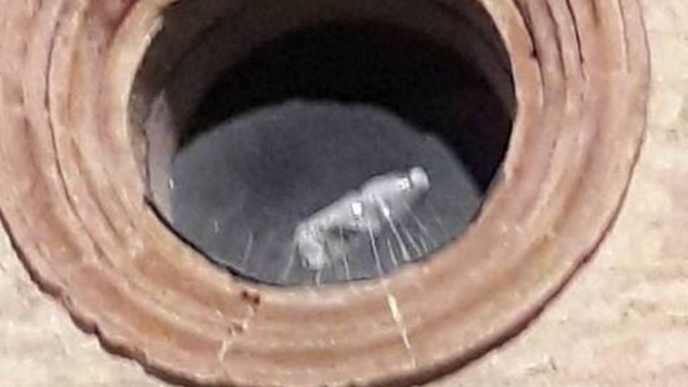 Sagra: bottiglia lanciata nel rosone