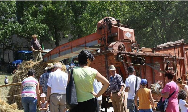 Trebbiatura, la festa riempie di nostalgia e unisce generazioni 