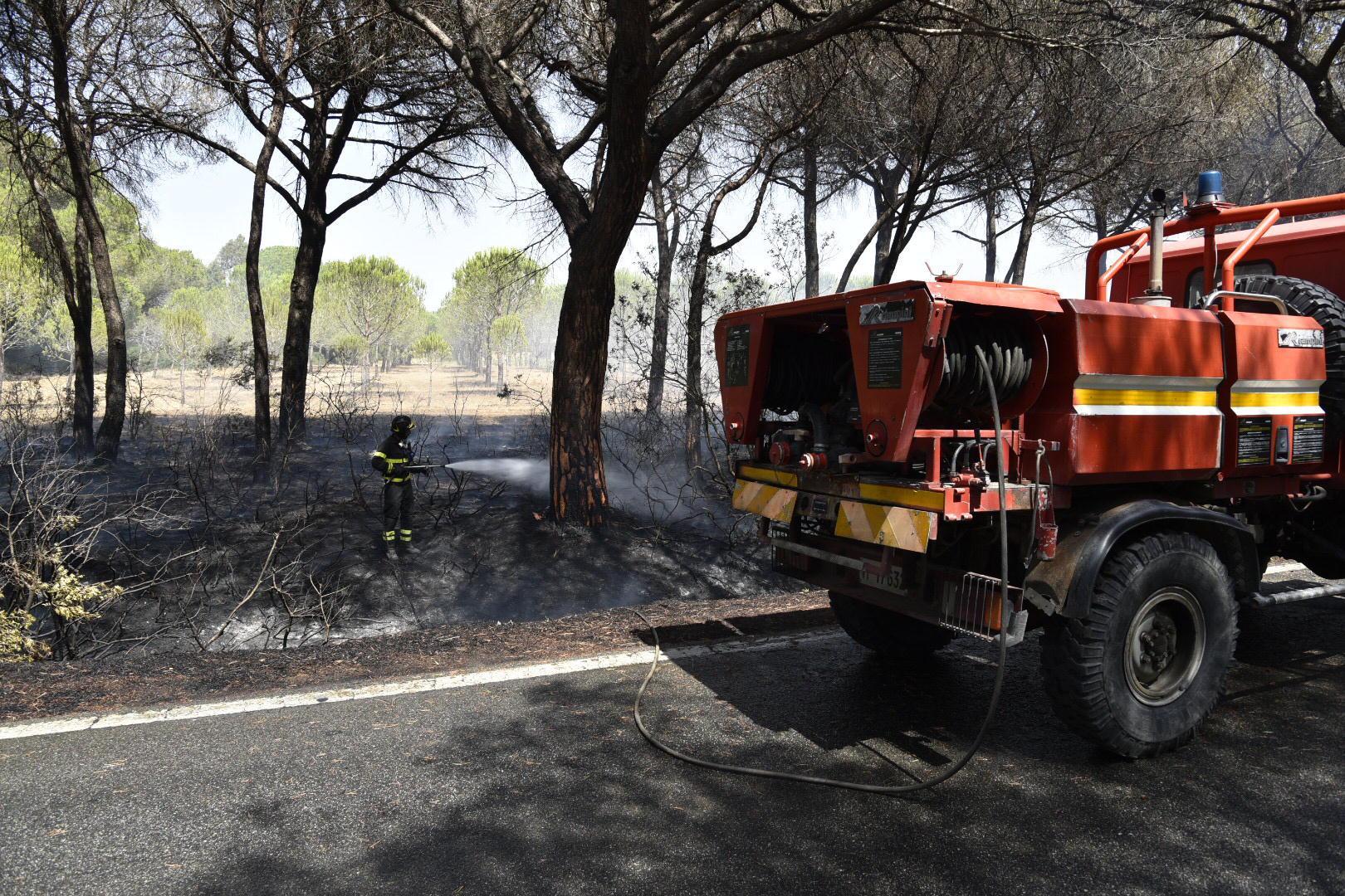 Vigili del fuoco al lavoro a Marina di Grosseto per spegnere l'incendio nella pineta lungo la strada delle Collacchie (foto Agenzia Bf)
