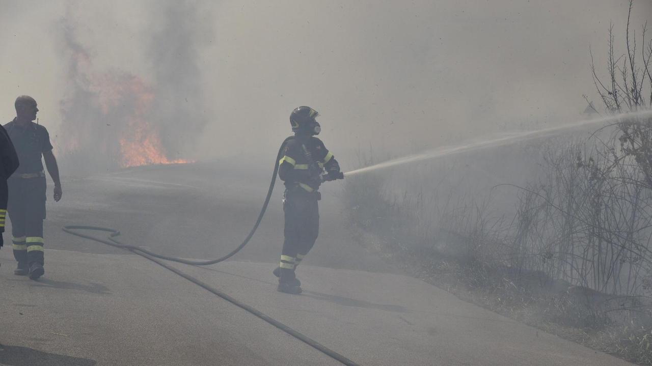 Vigili del fuoco domano le fiamme a San Martino, alle porte di Grosseto (foto Agenzia Bf)