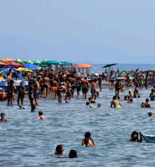 Sorpresa, l’alga tossica (per ora) non c’è più 