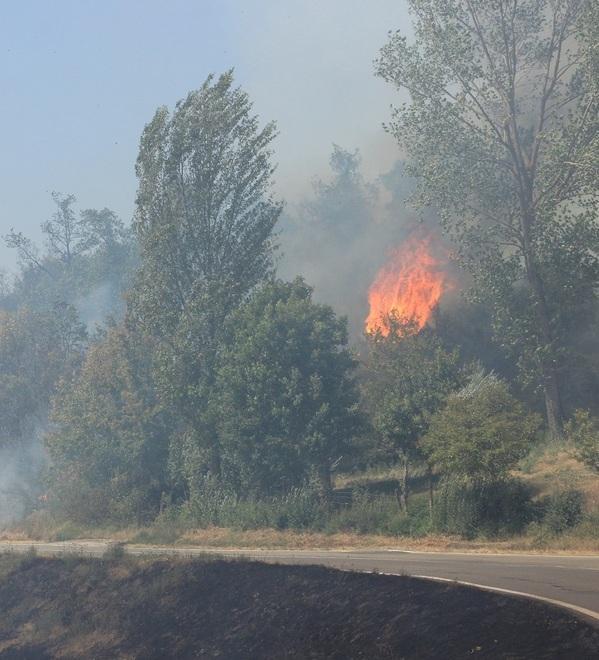 Il fuoco si mangia un crinale Paura, case evacuate e 40 vigili 