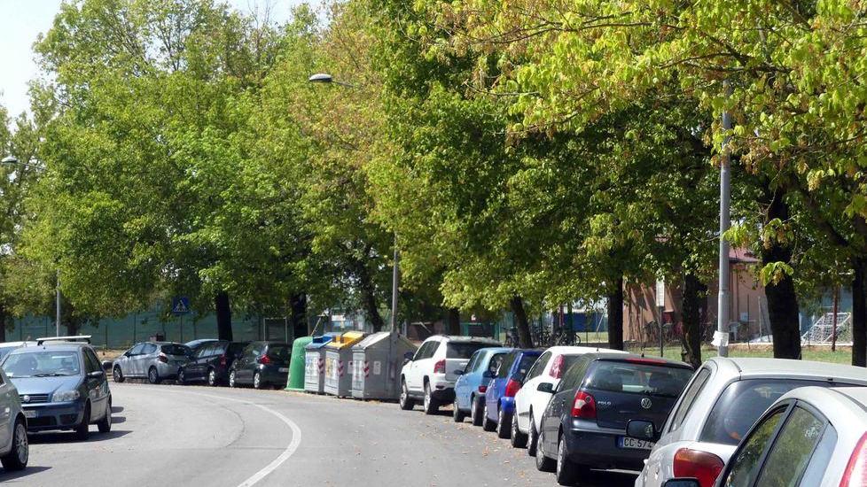 Via Nievo, pericolo caduta rami