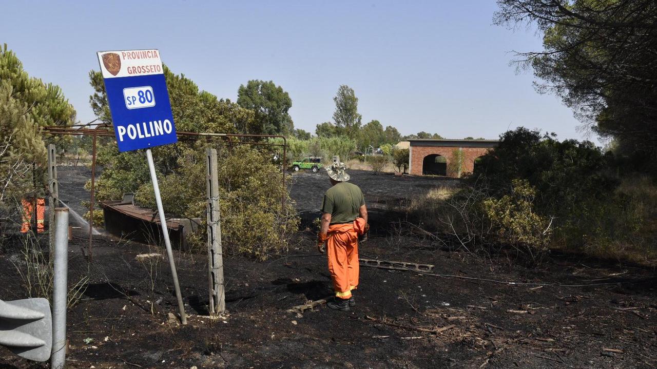 Il campo bruciato al Cristo (foto Agenzia Bf)