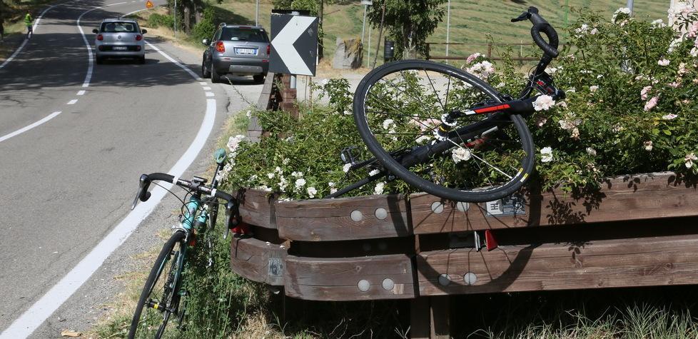Ciclista su aiuola per evitare auto