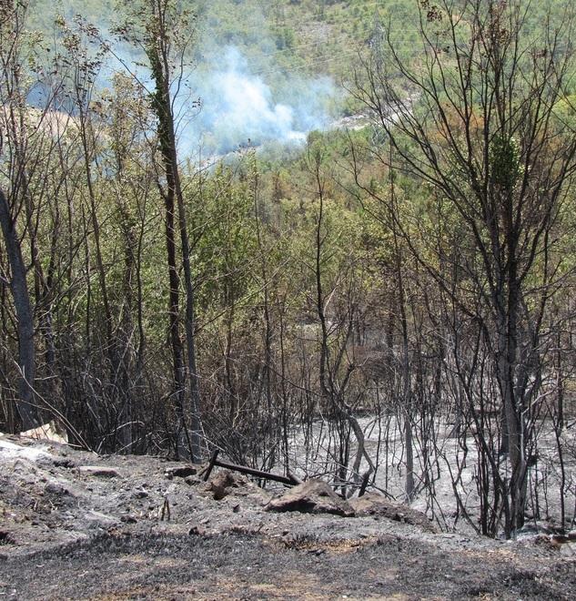 Domato il fuoco, ora si indaga per dolo 