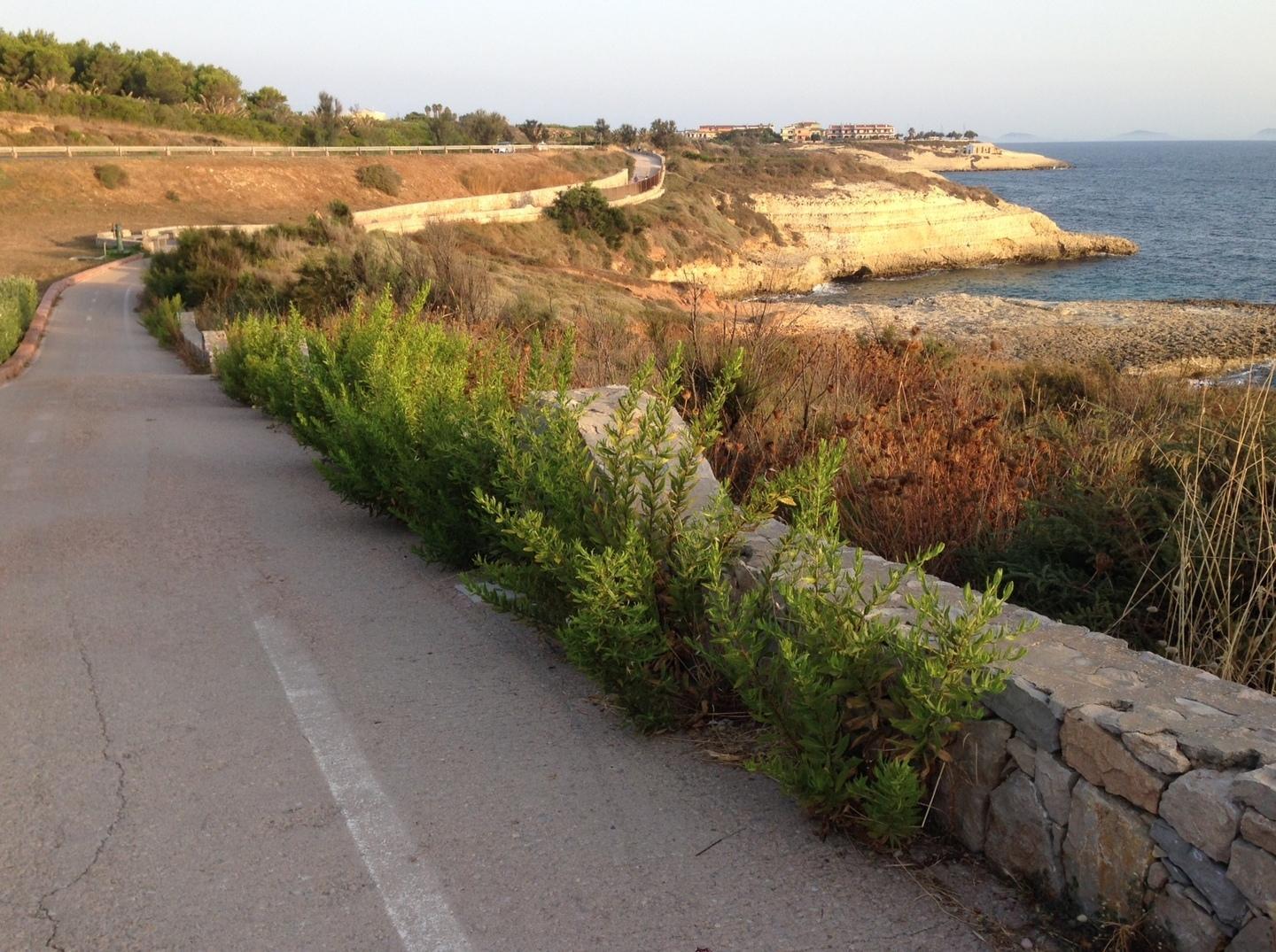 «La pista? Slalom tra rami ed escrementi» 