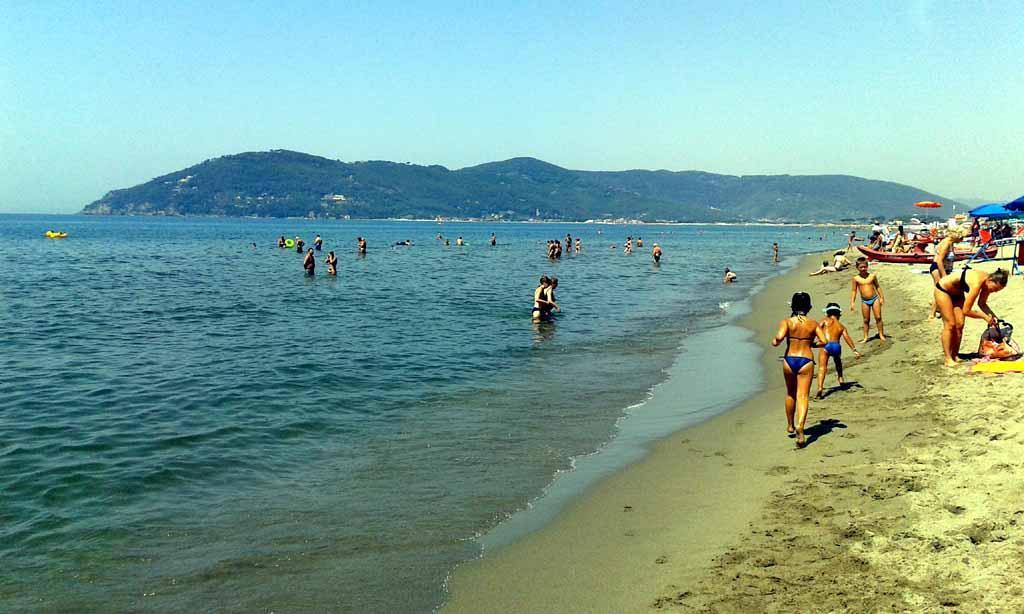 Mare "giallo": è un’alga, innocua per l’uomo 
