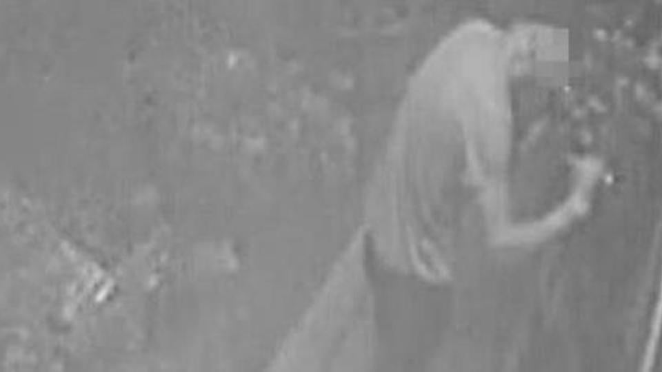Filma il ladro e mette le foto su Facebook