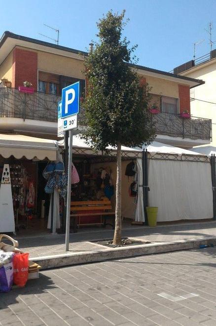 Piante annaffiate dagli abitanti di Albinia