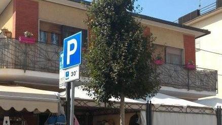 Piante annaffiate dagli abitanti di Albinia