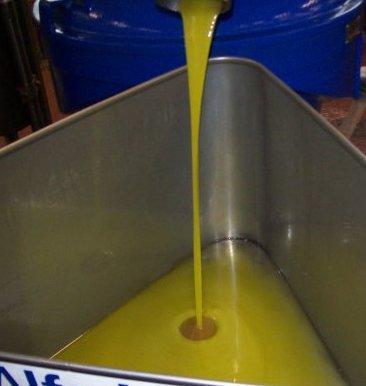 Timori per gli olivicoltori: la siccità potrebbe compromettere la resa 