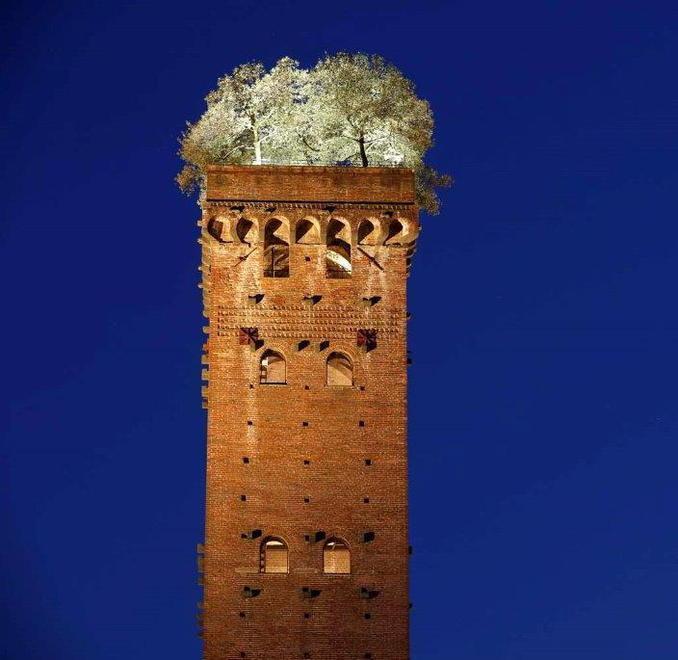 Visite guidate esclusive nei musei 