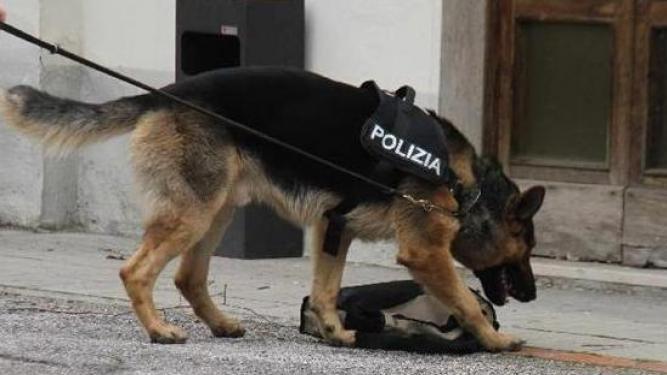 Sedicenne “bene” vende droga il cane Pando lo mette nei guai