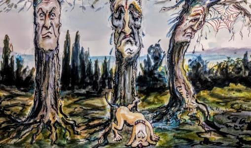 Parco di Poggio da salvare 