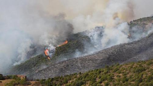 Incendi:Sardegna, mezzi aerei su 3 roghi