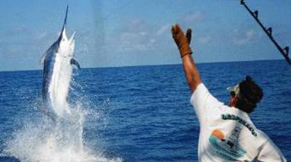 Entro l’11 agosto le iscrizioni alla “Figari fishing cup”