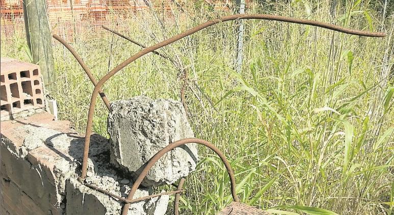 Novellara, l’ex Pala-Arbor abbandonato diventa la “casa” di topi e insetti