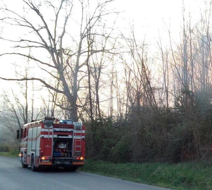 Incendio di bosco e sterpaglia 