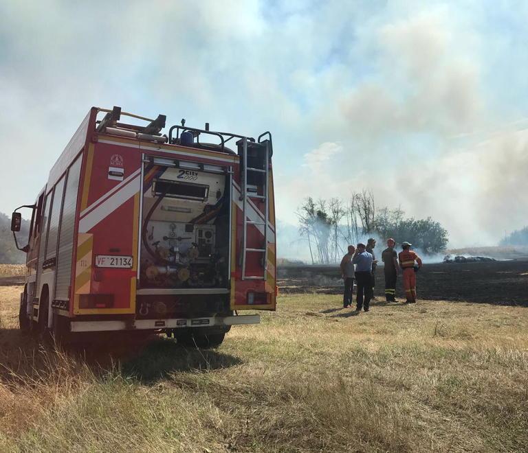 Pochi chilometri di fuoco Caccia aperta al piromane 