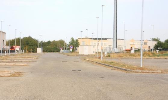 Castelvetro, abbandona nel parcheggio 28 quintali di maiali morti 