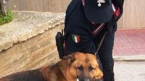 Mix con sali di ferro che elude i controlli