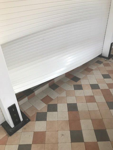 Il cane sventa il furto al bagno 
