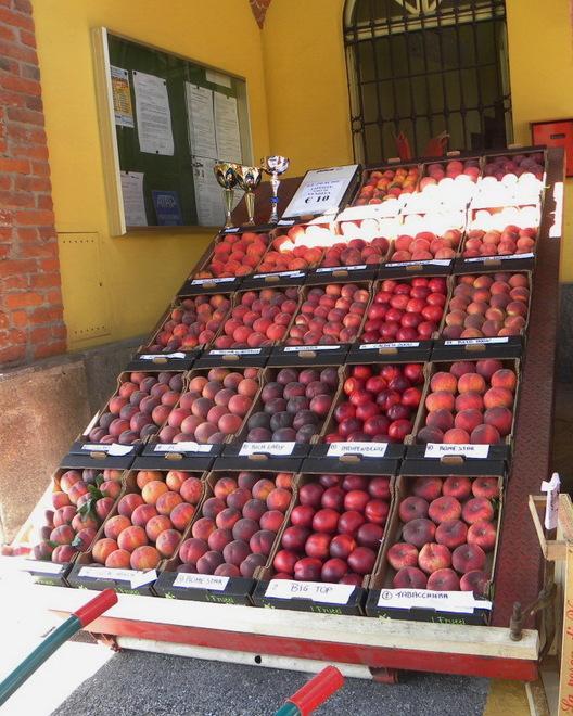 Pesche in crisi, aumentano i ritiri 
