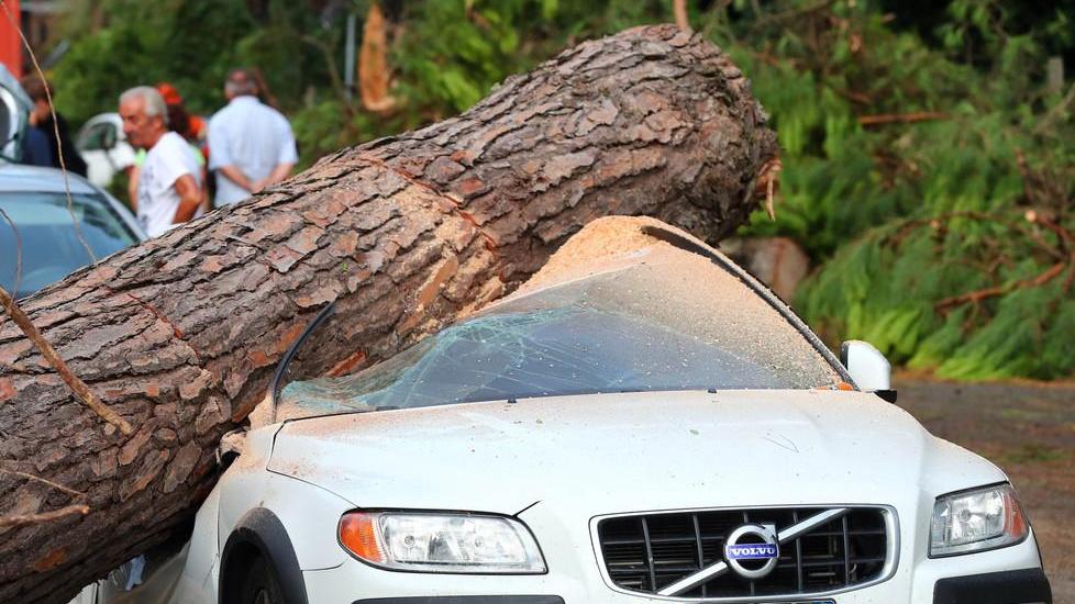 La bufera strappa alberi, muri, tetti