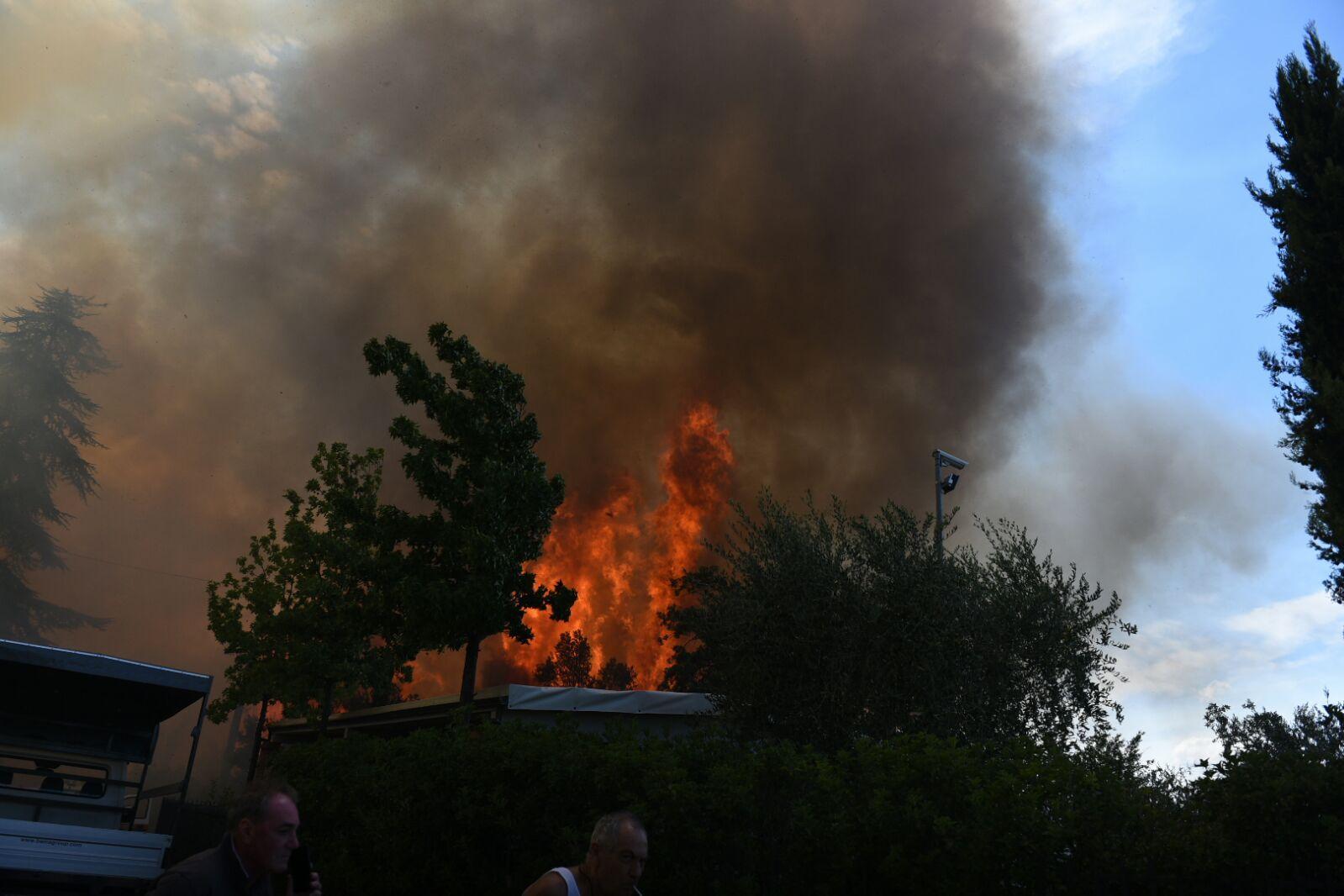 Le fiamme fra Altopascio e Montecarlo (Foto Sernacchioli)
