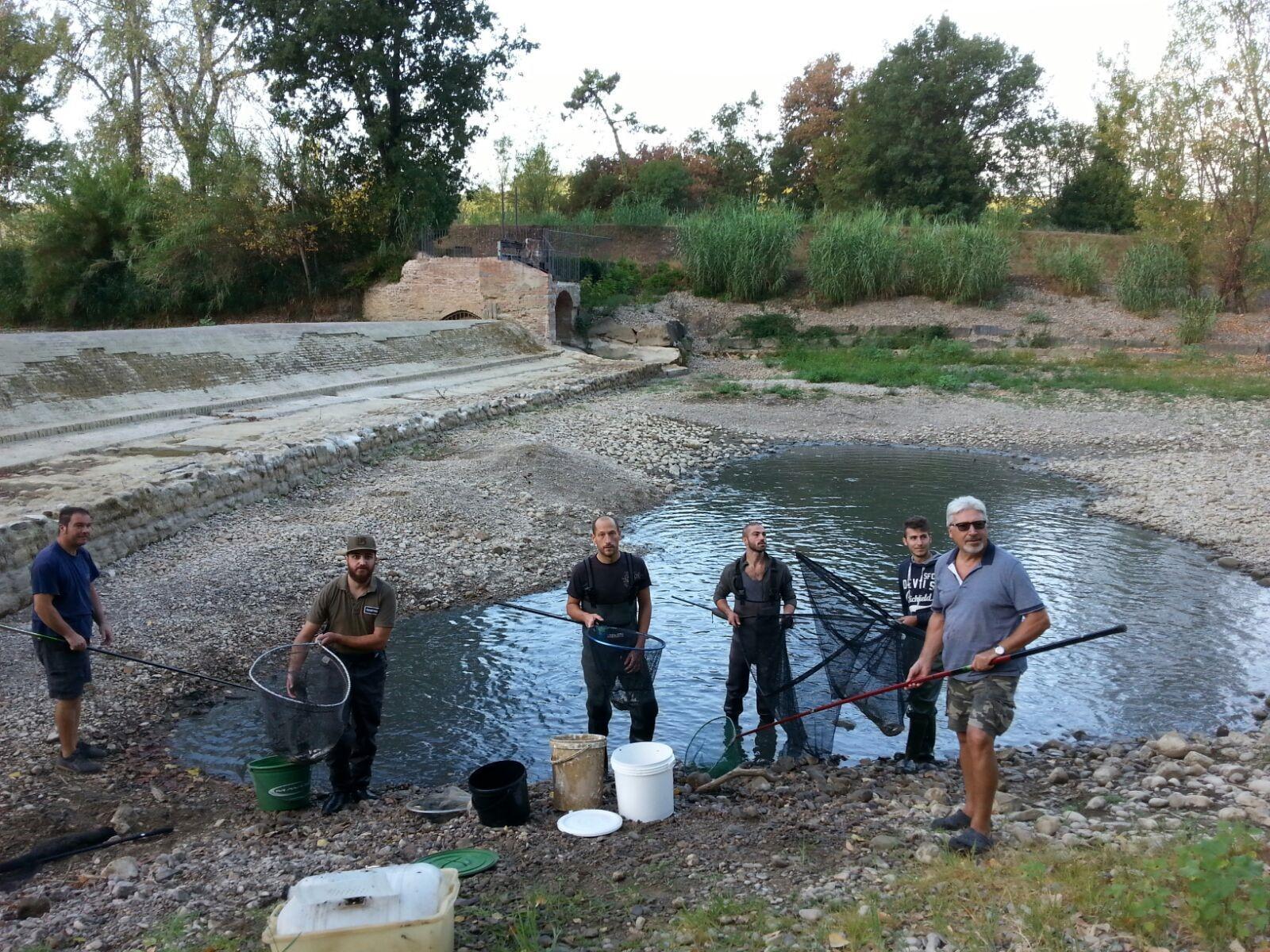I volontari impegnati nel salvataggio dei pesci