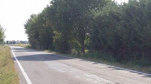 Identificato lo stupratore che ha assalito la ragazza