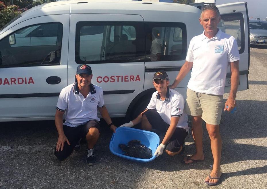 Tartaruga spiaggiata soccorsa dalla Guardia costiera