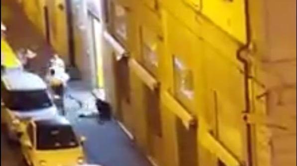 Rissa all'alba in piazza Cavour, ferito un uomo - Video