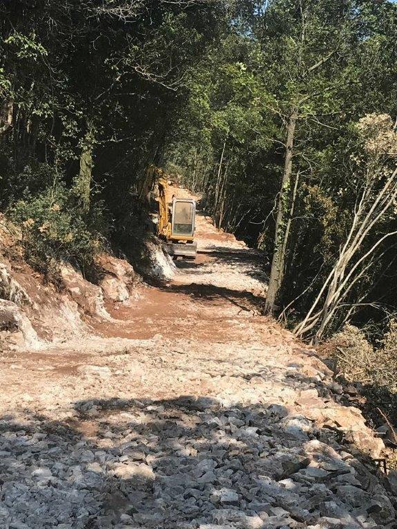 La strada in corso di realizzazione nei boschi di monte Coronato