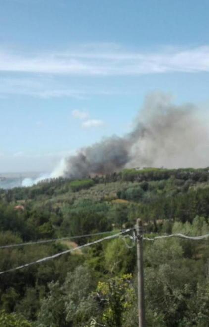 Fuoco nel bosco e vicino alle case 