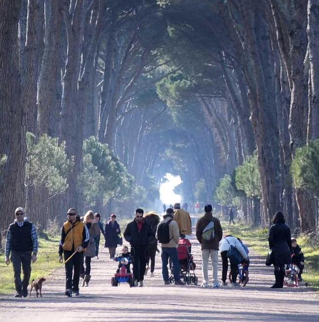 I matrimoni nel Parco saranno possibili grazie a “Due ruote per la città” 