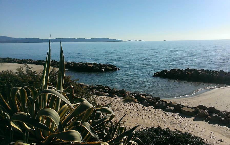 Nel golfo di Follonica il mare diventa bianco i bagnanti protestano 