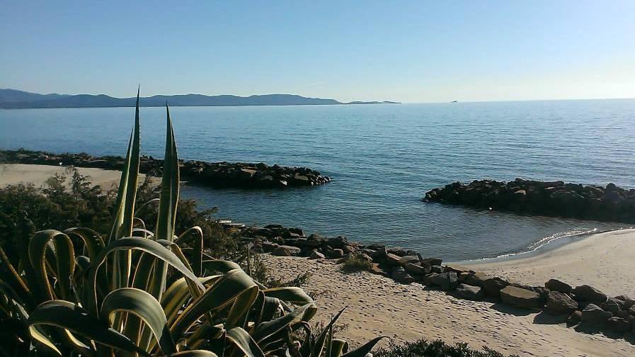 Nel golfo di Follonica il mare diventa bianco i bagnanti protestano