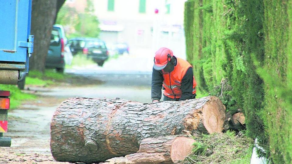 Comune e Rea assumono 16 operai per 6 mesi