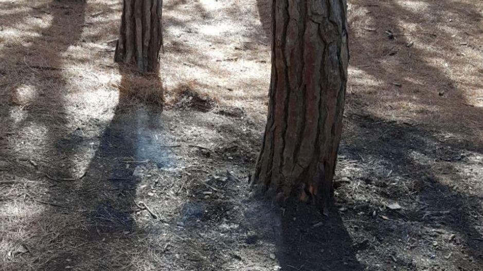 Svegliati in pieno giorno il bivacco è nella pineta